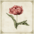 Date & Blooms logo