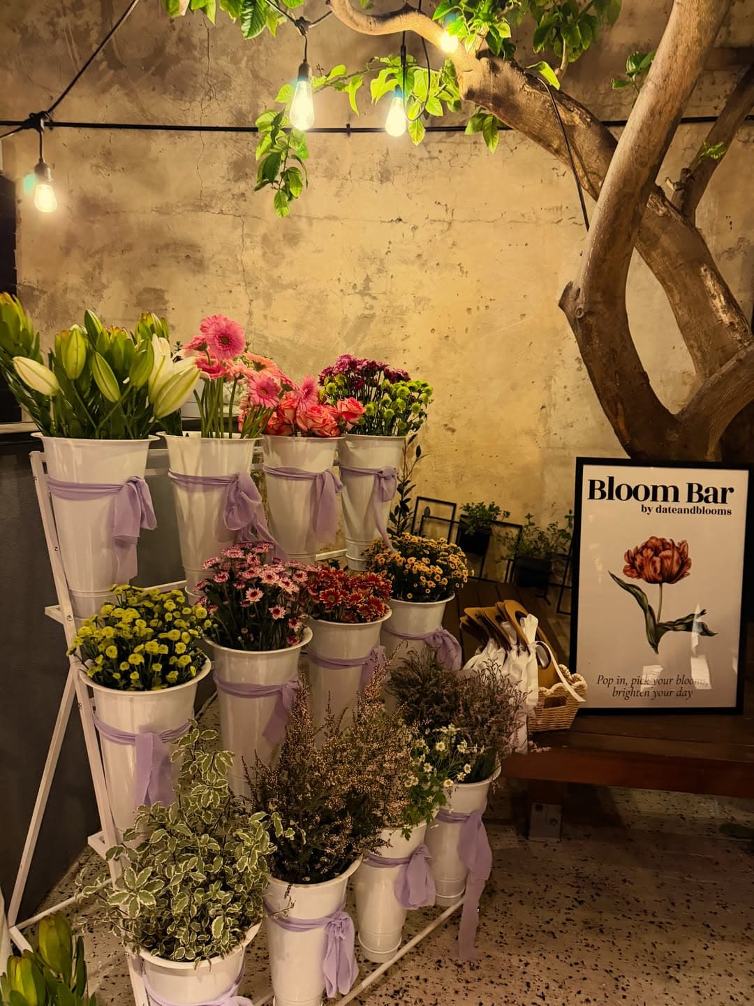 The Bloom Bar Experience, the full stand